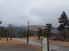 今回、宿泊したホテルでチェックイン時に奈良の一番お勧めは？と聞いたら、お兄さんの回答はこの公園だった

「ただの原っぱなんですけどね！」うふふ！

また若草山のぼりたいなあ！