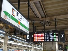 　東京駅の東海道本線のホームに上ってきました。新幹線ホームではありふれた、かえって近いと感じられる「仙台」の文字も、在来線ホームでははるか遠い地のように感じられます。
　上野駅ではなく、東京駅在来線ホームで仙台の地名を見るのも、今もって慣れない昭和生まれです。
