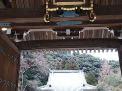 瀧安寺に参拝します。
