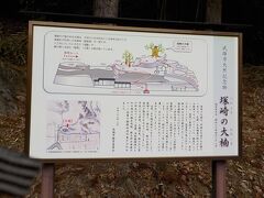 最後の訪問スポットは武雄神社から近い塚崎の大楠です。その説明がありました。