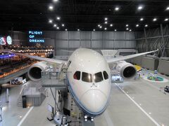 真っ先に、コックピット見学へ並びます。