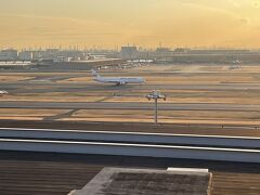 ●2023.2.23(木)祝日

18:05発JAL329便で福岡空港へ向かいます。
ガリバーズデッキからの夕景はなかなか素敵です。