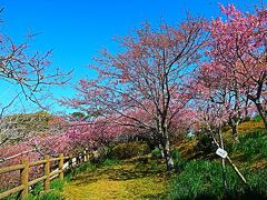 官軍塚公園