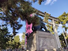 八坂神社には梅が殆どなかったので、八坂神社の目の前からバスに乗って当初の目的通り北野天満宮へ。
京都のバス停も、一応GPSで現在位置が出るようになってるんだけど、
液晶とかじゃなくてアナログチックなやつ、アレなんて言うんだろうｗ