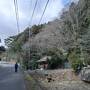 三重県 亀岡市の宿場町、鈴鹿市の椿大神社