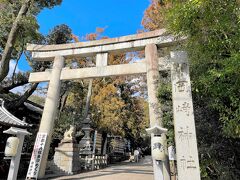 卯年に参りたい「うさぎ神社」こと岡崎神社。
今日は割と空いています。