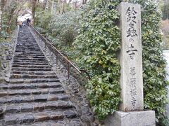 伏見の街歩きの後は、再び車を走らせて鈴虫寺へ。
隣にある世界遺産（西芳寺）は事前予約が必要ですが、こちらは予約なしで拝観できます。
私たちが訪れた時は◆たまたま◆階段に人がいませんでしたが、説法開始時間が近づくと階段の上から下まで列が出来ます。
特に観光シーズン（ハイシーズン）は更にその下まで列が伸びますので、時間に余裕をもって訪れましょう。