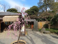 【向島百花園】

所有していた都立公園の年間パスポート　
明後日には切れてしまうのも　
来た理由の一つ