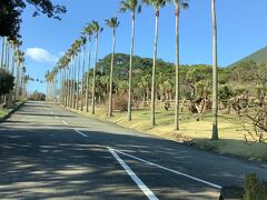 開聞山麓自然公園から