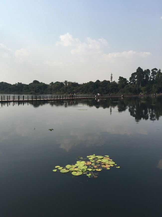 ニャック・ポアン寺院の外堀です!美しい風景です。