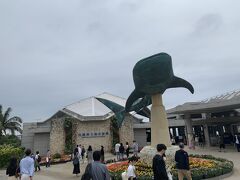 昼過ぎに美ら海水族館に到着です。