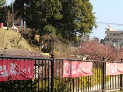 午後１時位～熱海梅園の辺りまで、辿り着きました。