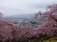 続いて松田町の河津桜。
曇っていて富士山と桜は見えません。