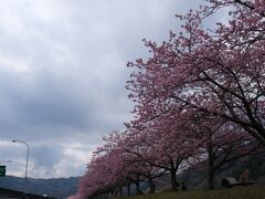 朝はまず伊豆の国市へ。