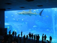 沖縄美ら海水族館