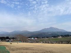 朝食後、10時にチェックアウトしてホテルから車で10分の高千穂牧場へ。餌やりで大量の羊に襲われかけたこと以外は、のどかでいい牧場でした笑。