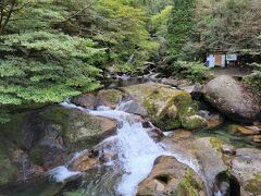 白水雲水峡入口、すでに自然豊富な感じにワクワクする。
15年前は息子・娘と太鼓岩まで登ったけれど、その時よりもきつかった、、、