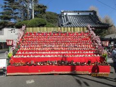 【覚翁寺（かくおうじ）】
千葉県勝浦市出水1297　　、0470-73-3115

千葉県勝浦市にある浄土宗の寺院である覚翁寺（かくおうじ）は慶長年間（1596年～1615年）、植村泰忠の開基である。
本堂には波の伊八（武志伊八郎信由）の欄間彫刻が残されている。

写真は覚翁寺（かくおうじ）の特設雛段：寺の門前に600体が飾られているそうだ。被写体とすれば、形よく纏まったものと言える。