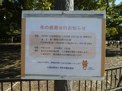 朝食をソッコーで食べた後はホテルをチェックアウトして急ぎ足で鹿寄せに来ました。

今日は昨日と違ってめちゃくちゃいい天気。
そして、あったかい。