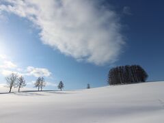 最後に立ち寄ったのがマイルドセブンの丘です。カラマツの木があるだけの丘ですが、単調な雪景色がこんなに変わります。