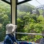 ５月の箱根_大涌谷自然研究路・塔ノ沢温泉・千条の滝