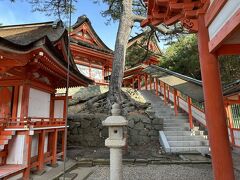 ホテルからチェックアウトし、
日御碕神社へ赤色を基調とした神社で境内は高低差もあり、
高台だと敷地内を広く見渡すことができます。
神社はひしずみのみやとも呼ばれて、
伊勢で日の出をみて、出雲で日の入りを見ると安泰になるという言い伝えがあるようです。