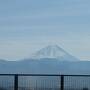 山梨で野生動物いっぱいの１泊ガイドツアー