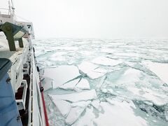 そして流氷…
夢にまで見た流氷。
この流氷を砕氷しながら
ゆっくり船が進んで行きます。