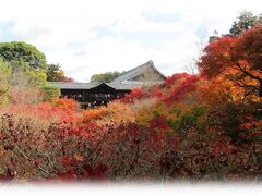 東福寺。
　九條道家が創建した臨済宗東福寺派の大本山。
規模は東大寺につぎ、教行は興福寺にならうという意味から、東福寺と名づけられたとされます。
写真は臥雲橋から通天橋、東福寺方丈方向の眺め。
　時折吹き抜ける風は落葉に拍車をかけていた。
「つい2、3日前は少し早いかと思っていたら一気ですわ」そんな声が盛んに聞こえて来た。