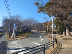 テケテケ進んで岩屋山に向かいます。坂道はきついかな?