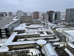 翌朝、早速外の景色を確認！！！！
予想通りの雪景色！！！！