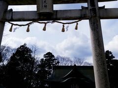 美味しいものを食べて、人間の気持ちになったので、当初の予定通り神社仏閣を流し見にいきます。

こちらは總社大神宮。
由来をたどれば大化の改新だというから驚く。
参道ど真ん中に駐車中の車が気になりすぎて、細部はあまり覚えていない。