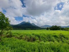 タデ原湿原