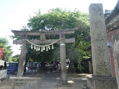 猫が人気猫が人気の前玉神社
猫に会えず。