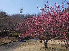 平和ならいいのですが。。。。。