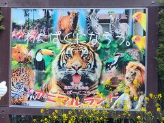 わんぱーく高知アニマルランドに行って、園内を見学。小さい動物園なので、１時間もあれば見終わってしまいました。