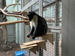 円山動物園 モンキーハウス