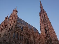 中心部に戻ってきて向かったのはシュテファン大聖堂。ウィーンのシンボルであり、圧倒的な存在感の建物です。