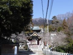 「筑波山神社」に無事下山できました。