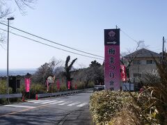 バス停を過ぎ5分ほど下った右側に「筑波山梅林」で梅祭り開催中です。
