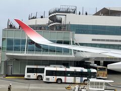 　福岡空港着。こんなにたくさんの人が、デッキにいます。忘れなければ、今度行ってみましょう。