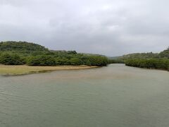 最初の目的地は東村ふれあいヒルギ公園。比較的新しい施設らしく、ナビに出てきません。住所を入れてなんとかたどり着きました。