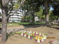 横浜スタジアム横の横浜公園ではチューリップの芽が出始めていました