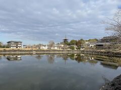 朝食を終えて春日大社へ。荒池と興福寺の五重塔が見えます。