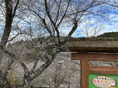 食後は、小原ふれあい公園に行きました