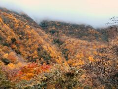 朝、3時に家を出て信州高山、松川渓谷まできました。
紅葉は酣。まずは八滝の展望台へ。