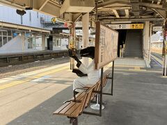 敦賀駅で特急サンダーバードに乗り換え。乗り換えのホームに行ったら何やらベンチに人影。