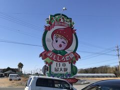 ドライブしながら掛川市大渕の赤ずきんちゃんの隣のカフェに行ってみます