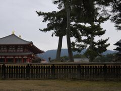 【興福寺】
法相宗大本山の大寺院。
平城京遷都が行われた710年に藤原不比等が氏寺として創建しました。