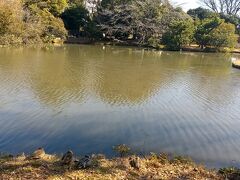 菊田水鳥公園。
